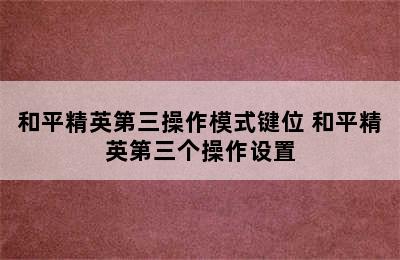 和平精英第三操作模式键位 和平精英第三个操作设置